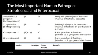 The Most Important Human Pathogen
Streptococci and Enterococci
8/11/2023 Medical Bacteriology Module 2 45
 