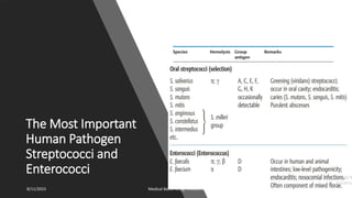 The Most Important
Human Pathogen
Streptococci and
Enterococci
8/11/2023 Medical Bacteriology Module 2 47
 