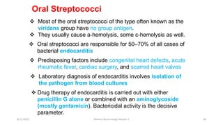 Oral Streptococci
 Most of the oral streptococci of the type often known as the
viridans group have no group antigen.
 They usually cause a-hemolysis, some c-hemolysis as well.
 Oral streptococci are responsible for 50–70% of all cases of
bacterial endocarditis
 Predisposing factors include congenital heart defects, acute
rheumatic fever, cardiac surgery, and scarred heart valves
 Laboratory diagnosis of endocarditis involves isolation of
the pathogen from blood cultures
 Drug therapy of endocarditis is carried out with either
penicillin G alone or combined with an aminoglycoside
(mostly gentamicin). Bactericidal activity is the decisive
parameter.
8/11/2023 Medical Bacteriology Module 2 48
 