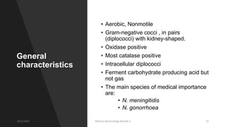General
characteristics
• Aerobic, Nonmotile
• Gram-negative cocci , in pairs
(diplococci) with kidney-shaped.
• Oxidase positive
• Most catalase positive
• Intracellular diplococci
• Ferment carbohydrate producing acid but
not gas
• The main species of medical importance
are:
• N. meningitidis
• N. gonorrhoea
8/11/2023 Medical Bacteriology Module 2 52
 