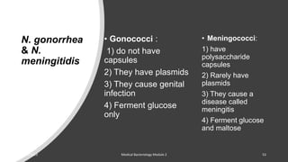 N. gonorrhea
& N.
meningitidis
• Gonococci :
1) do not have
capsules
2) They have plasmids
3) They cause genital
infection
4) Ferment glucose
only
• Meningococci:
1) have
polysaccharide
capsules
2) Rarely have
plasmids
3) They cause a
disease called
meningitis
4) Ferment glucose
and maltose
8/11/2023 Medical Bacteriology Module 2 53
 