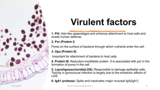Virulent factors
1. Pili: Hair-like appendages and enhance attachment to host cells and
evade human defense.
2. Por (Protein I)
Pores on the surface of bacteria through which nutrients enter the cell.
3. Opa (Protein II)
Important for attachment of bacteria to host cells.
4. Protein III: Reduction-modifiable protein. It is associated with por in the
formation of pores in the cell.
5. Lipooligosaccharide(LOS): Responsible to damage epithelial cells.
Toxicity in gonococcal infection is largely due to the endotoxic effects of
LOS
6. IgA1 protease: Splits and inactivates major mucosal IgA(IgA1)
8/11/2023 Medical Bacteriology Module 2 55
 
