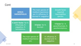 Cont
GENUS:
HAEMOPHILUS
The main species of
medical importance
are: H. influenza, H.
ducreyii H. aegyptius
Growth factor
required
Haemophilus
species:
X and V factor for H.
influenzae, H.
aegyptius, H.
hemolyticus.
X factor for H.
ducreyii .
V factor for H.
parainfluenzae, H.
parahemolyticus.
The main species of
medical importance
are:
H. influenza, H.
ducreyii and H.
aegyptius
8/11/2023 Medical Bacteriology Module 2 68
 