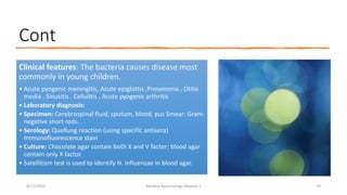 Cont
Clinical features: The bacteria causes disease most
commonly in young children.
• Acute pyogenic meningitis, Acute epiglottis ,Pneumonia , Otitis
media , Sinusitis . Cellulitis , Acute pyogenic arthritis
• Laboratory diagnosis:
• Specimen: Cerebrospinal fluid, sputum, blood, pus Smear: Gram-
negative short rods.
• Serology: Quellung reaction (using specific antisera)
Immunofluorescence stain
• Culture: Chocolate agar contain both X and V factor; blood agar
contain only X factor.
• Satellitism test is used to identify H. influenzae in blood agar.
8/11/2023 Medical Bacteriology Module 2 70
 