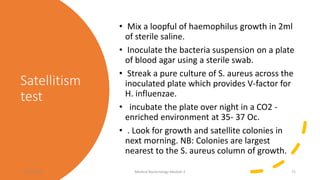 Satellitism
test
• Mix a loopful of haemophilus growth in 2ml
of sterile saline.
• Inoculate the bacteria suspension on a plate
of blood agar using a sterile swab.
• Streak a pure culture of S. aureus across the
inoculated plate which provides V-factor for
H. influenzae.
• incubate the plate over night in a CO2 -
enriched environment at 35- 37 Oc.
• . Look for growth and satellite colonies in
next morning. NB: Colonies are largest
nearest to the S. aureus column of growth.
8/11/2023 Medical Bacteriology Module 2 71
 