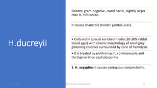 H.ducreyii
Slender, gram-negative, ovoid bacilli, slightly larger
than H. influenzae.
It causes chancroid (tender genital ulcer).
• Cultured in special enriched media (20-30% rabbit
blood agar) with colonic morphology of small grey
glistening colonies surrounded by zone of hemolysis.
• It is treated by erythromycin, cotrimoxazole and
third generation cephalosporins
3. H. aegyptius It causes contagious conjunctivitis.
8/11/2023 Medical Bacteriology Module 2 72
 