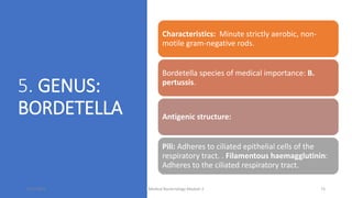 5. GENUS:
BORDETELLA
Characteristics: Minute strictly aerobic, non-
motile gram-negative rods.
Bordetella species of medical importance: B.
pertussis.
Antigenic structure:
Pili: Adheres to ciliated epithelial cells of the
respiratory tract. . Filamentous haemagglutinin:
Adheres to the ciliated respiratory tract.
8/11/2023 Medical Bacteriology Module 2 73
 