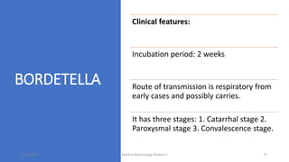 BORDETELLA
Clinical features:
Incubation period: 2 weeks
Route of transmission is respiratory from
early cases and possibly carries.
It has three stages: 1. Catarrhal stage 2.
Paroxysmal stage 3. Convalescence stage.
8/11/2023 Medical Bacteriology Module 2 75
 