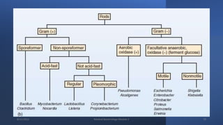8/11/2023 Medical Bacteriology Module 2 78
 
