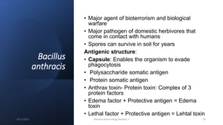 Bacillus
anthracis
• Major agent of bioterrorism and biological
warfare
• Major pathogen of domestic herbivores that
come in contact with humans
• Spores can survive in soil for years
Antigenic structure:
• Capsule: Enables the organism to evade
phagocytosis
• Polysaccharide somatic antigen
• Protein somatic antigen
• Anthrax toxin- Protein toxin: Complex of 3
protein factors
• Edema factor + Protective antigen = Edema
toxin
• Lethal factor + Protective antigen = Lehtal toxin
8/11/2023 Medical Bacteriology Module 2 81
 
