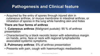 Pathogenesis and Clinical feature
• Acquired by the entry of spores through injured skin in
cutaneous anthrax, or mucus membrane in intestinal anthrax, or
inhalation of spores in the lung while handling skin and hides
There are four forms of anthrax
1. Cutaneous anthrax (Malignant pustule): 95 % of anthrax
presentation
• Characterized by a black necrotic lesion with edematous margin
on hands, arms, face or neck with regional lymphadenitis
associated systemic symptoms.
2. Pulmonary anthrax: 5% of anthrax presentation
• Presents with pain, cough with haemorrhagic mediastinitis
8/11/2023 Medical Bacteriology Module 2 82
 