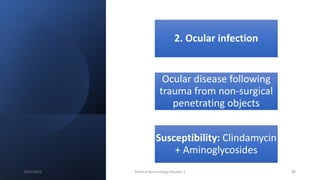 2. Ocular infection
Ocular disease following
trauma from non-surgical
penetrating objects
Susceptibility: Clindamycin
+ Aminoglycosides
8/11/2023 Medical Bacteriology Module 2 88
 