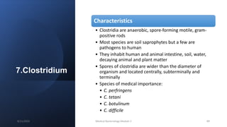 7.Clostridium
Characteristics
• Clostridia are anaerobic, spore-forming motile, gram-
positive rods
• Most species are soil saprophytes but a few are
pathogens to human
• They inhabit human and animal intestine, soil, water,
decaying animal and plant matter
• Spores of clostridia are wider than the diameter of
organism and located centrally, subterminally and
terminally
• Species of medical importance:
• C. perfringens
• C. tetani
• C. botulinum
• C. difficile
8/11/2023 Medical Bacteriology Module 2 89
 