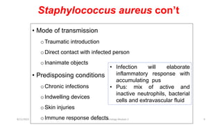 • Mode of transmission
oTraumatic introduction
oDirect contact with infected person
oInanimate objects
• Predisposing conditions
oChronic infections
oIndwelling devices
oSkin injuries
oImmune response defects
• Infection will elaborate
inflammatory response with
accumulating pus
• Pus: mix of active and
inactive neutrophils, bacterial
cells and extravascular fluid
Staphylococcus aureus con’t
8/11/2023 Medical Bacteriology Module 2 9
 