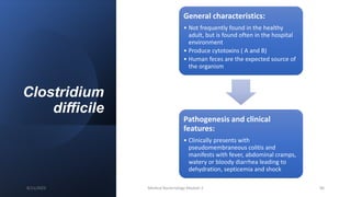 Clostridium
difficile
General characteristics:
• Not frequently found in the healthy
adult, but is found often in the hospital
environment
• Produce cytotoxins ( A and B)
• Human feces are the expected source of
the organism
Pathogenesis and clinical
features:
• Clinically presents with
pseudomembraneous colitis and
manifests with fever, abdominal cramps,
watery or bloody diarrhea leading to
dehydration, septicemia and shock
8/11/2023 Medical Bacteriology Module 2 96
 