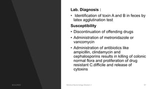 Lab. Diagnosis :
• Identification of toxin A and B in feces by
latex agglutination test
Susceptibility
• Discontinuation of offending drugs
• Administration of metronidazole or
vancomycin
• Administration of antibiotics like
ampicillin, clindamycin and
cephalosporins results in killing of colonic
normal flora and proliferation of drug
resistant C.difficile and release of
cytoxins
8/11/2023 Medical Bacteriology Module 2 97
 