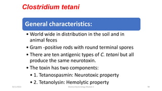Clostridium tetani
General characteristics:
• World wide in distribution in the soil and in
animal feces
• Gram -positive rods with round terminal spores
• There are ten antigenic types of C. tetani but all
produce the same neurotoxin.
• The toxin has two components:
• 1. Tetanospasmin: Neurotoxic property
• 2. Tetanolysin: Hemolytic property
8/11/2023 Medical Bacteriology Module 2 98
 