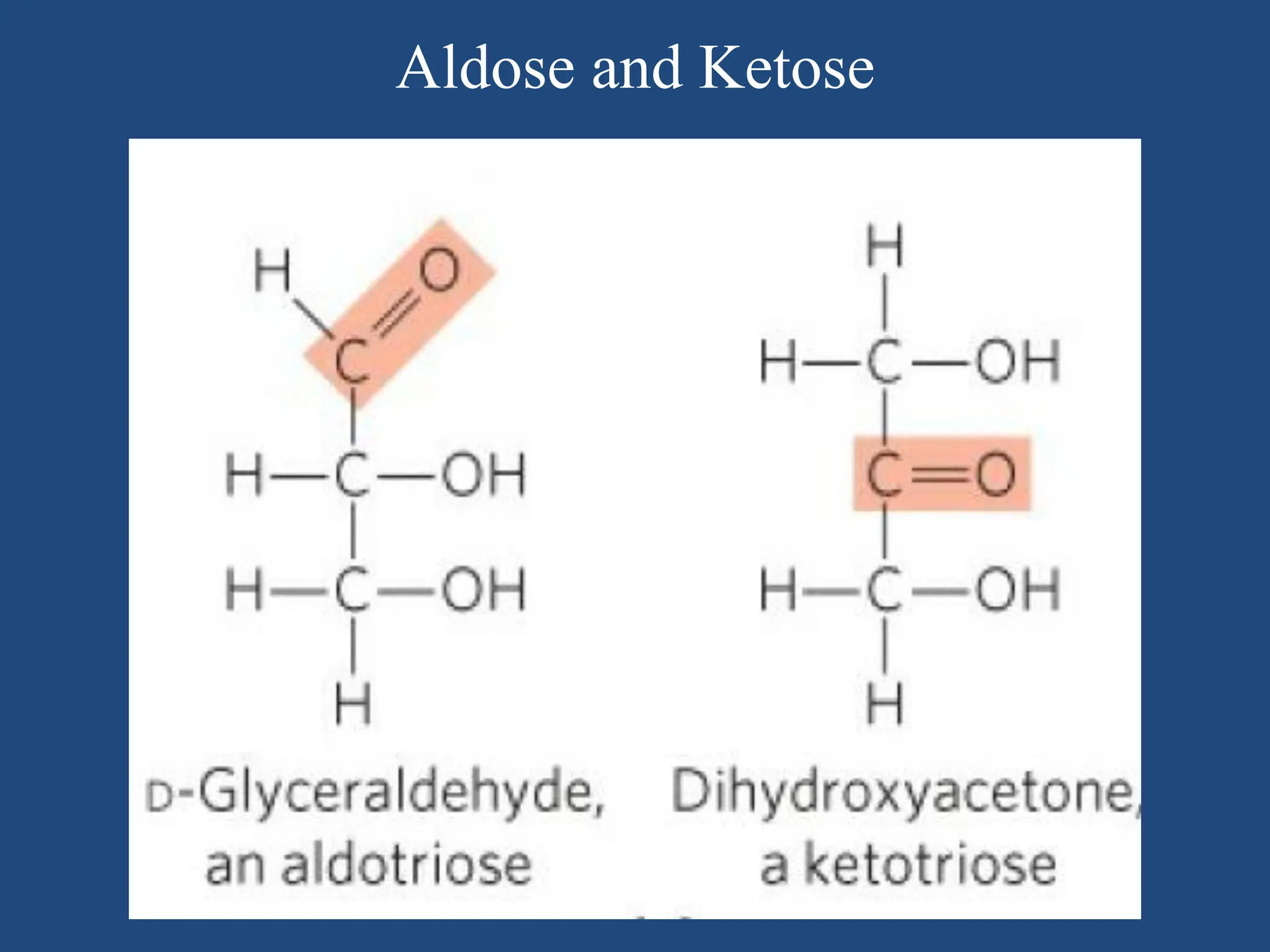 Aldose and Ketose
 