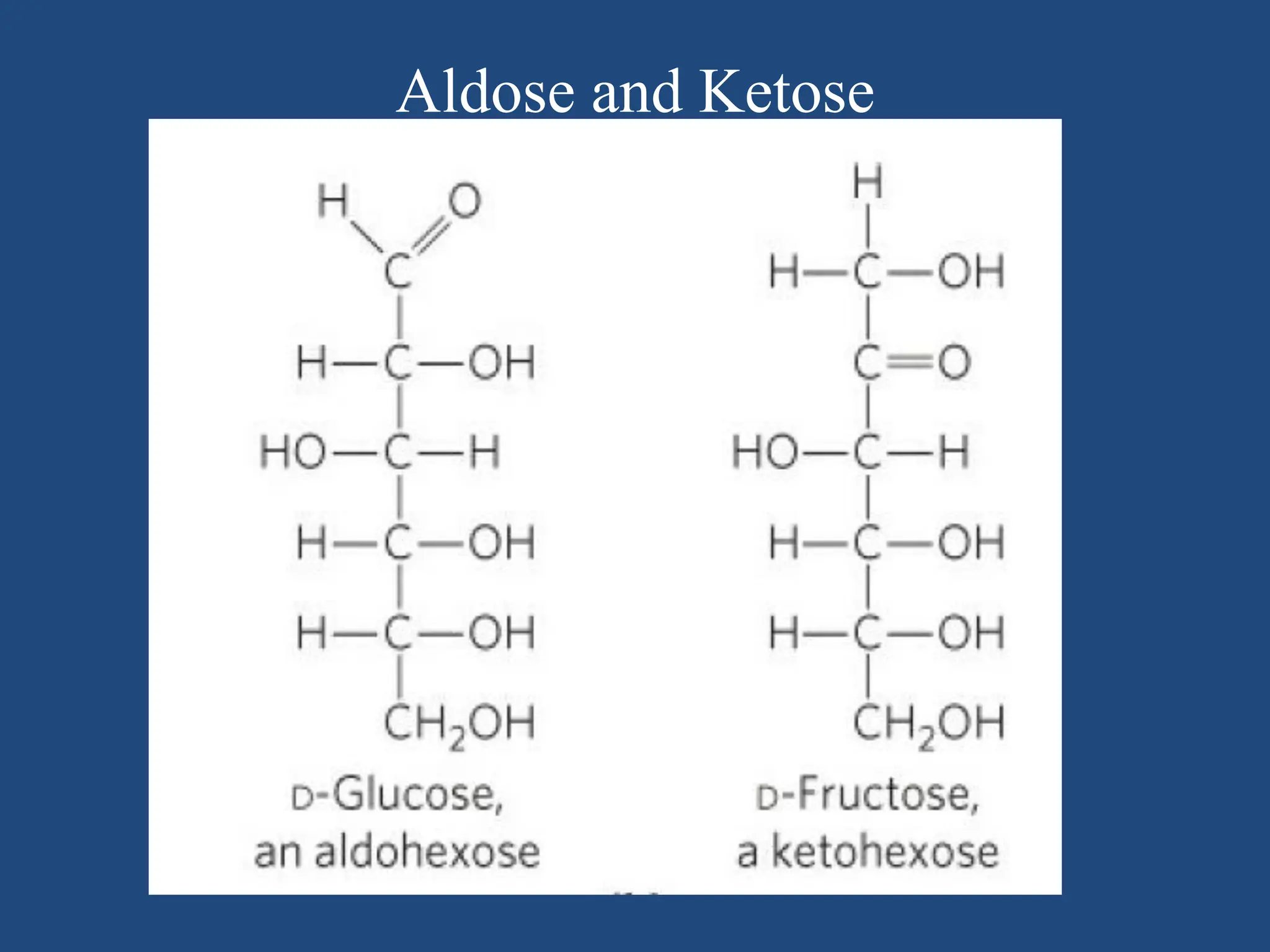 Aldose and Ketose
 
