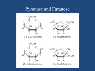 Pyranose and Furanose
 