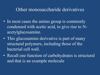Other monosaccharide derivatives
• In most cases the amino group is commonly
condensed with acetic acid, to give rise to N-
acetylglucosamine.
• This glucosamine derivative is part of many
structural polymers, including those of the
bacterial cell wall.
• Recall one function of carbohydrates is structural
and that is an example molecule
 