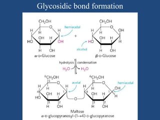 Glycosidic bond formation
 
