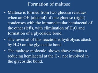 Formation of maltose
• Maltose is formed from two glucose residues
when an OH (alcohol) of one glucose (right)
condenses with the intramolecular hemiacetal of
the other (left), with elimination of H2O and
formation of a glycosidic bond.
• The reversal of this reaction is hydrolysis attack
by H2O on the glycosidic bond.
• The maltose molecule, shown above retains a
reducing hemiacetal at the C-1 not involved in
the glycosidic bond.
 