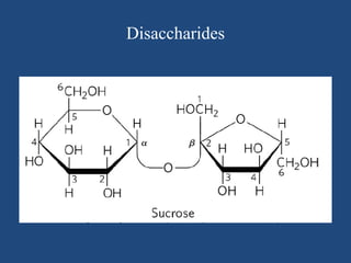 Disaccharides
 