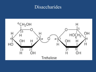 Disaccharides
 