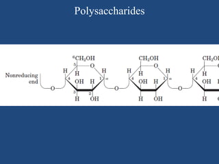 Polysaccharides
 