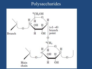 Polysaccharides
 