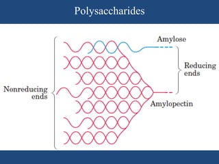Polysaccharides
 