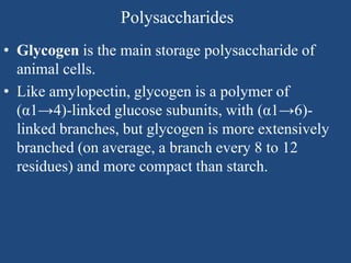 Polysaccharides
• Glycogen is the main storage polysaccharide of
animal cells.
• Like amylopectin, glycogen is a polymer of
(α1→4)-linked glucose subunits, with (α1→6)-
linked branches, but glycogen is more extensively
branched (on average, a branch every 8 to 12
residues) and more compact than starch.
 