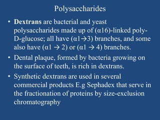 Polysaccharides
• Dextrans are bacterial and yeast
polysaccharides made up of (α16)-linked poly-
D-glucose; all have (α1→3) branches, and some
also have (α1 → 2) or (α1 → 4) branches.
• Dental plaque, formed by bacteria growing on
the surface of teeth, is rich in dextrans.
• Synthetic dextrans are used in several
commercial products E.g Sephadex that serve in
the fractionation of proteins by size-exclusion
chromatography
 