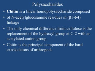 Polysaccharides
• Chitin is a linear homopolysaccharide composed
• of N-acetylglucosamine residues in (β1→4)
linkage
• The only chemical difference from cellulose is the
replacement of the hydroxyl group at C-2 with an
acetylated amino group.
• Chitin is the principal component of the hard
exoskeletons of arthropods
 
