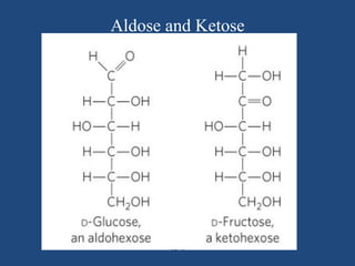Aldose and Ketose
 