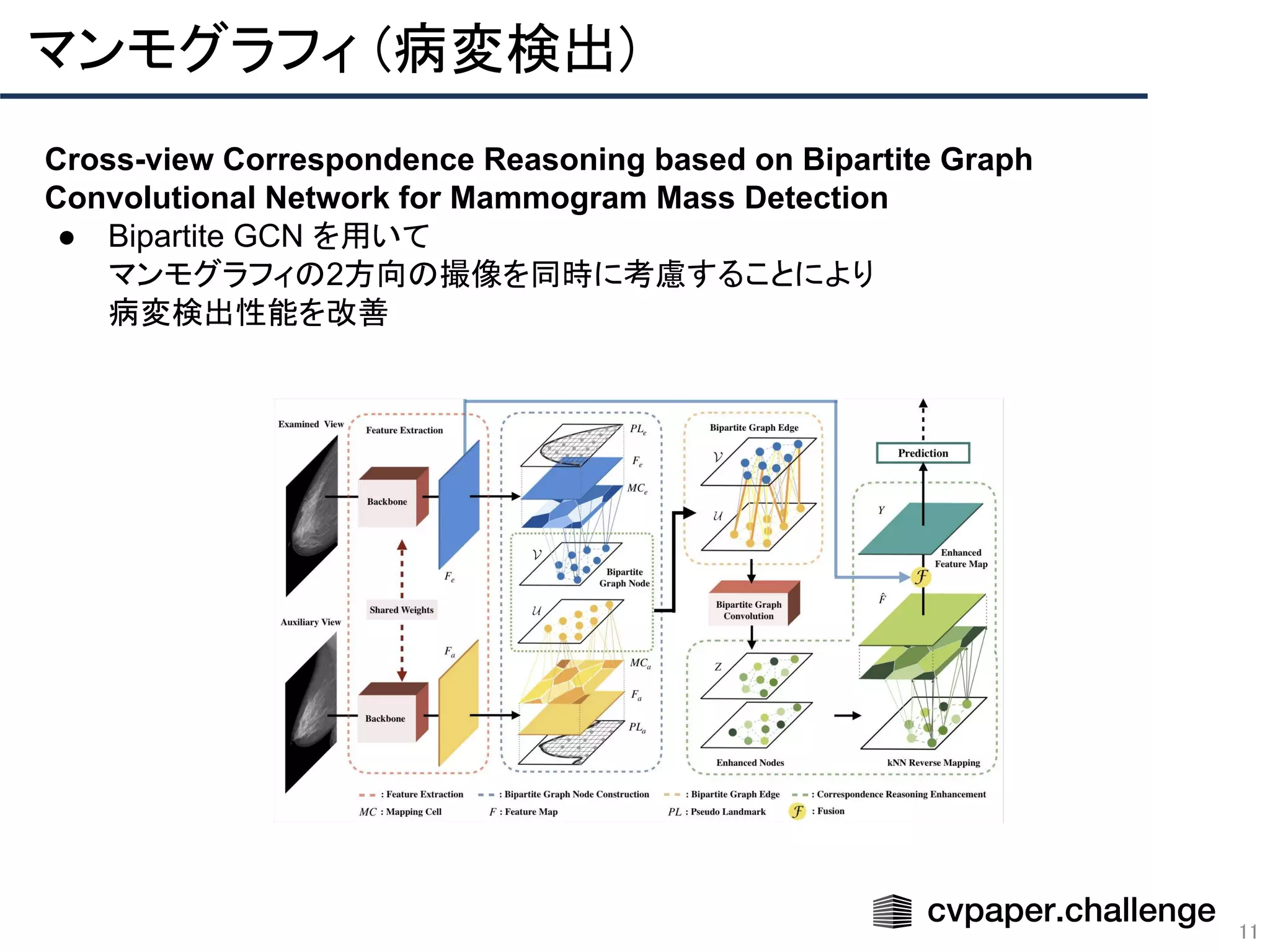 11
マンモグラフィ (病変検出) 
Cross-view Correspondence Reasoning based on Bipartite Graph
Convolutional Network for Mammogram Mass Detection
● Bipartite GCN を用いて
マンモグラフィの2方向の撮像を同時に考慮することにより
病変検出性能を改善
 