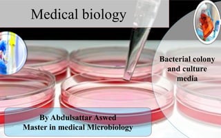 Medical biology
By Abdulsattar Aswed
Master in medical Microbiology
Bacterial colony
and culture
media
 
