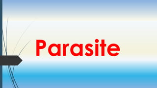 Parasite
 