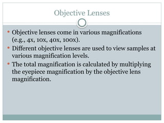 Multiplying Lens Comprehensive Overview of Cell Structure, Function, and Related ...