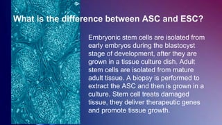 Embryonic stem cells are isolated from
early embryos during the blastocyst
stage of development, after they are
grown in a tissue culture dish. Adult
stem cells are isolated from mature
adult tissue. A biopsy is performed to
extract the ASC and then is grown in a
culture. Stem cell treats damaged
tissue, they deliver therapeutic genes
and promote tissue growth.
What is the difference between ASC and ESC?
 