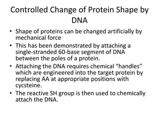 Controlled Change of Protein Shape by
DNA
• Shape of proteins can be changed artificially by
mechanical force
• This has been demonstrated by attaching a
single-stranded 60-base segment of DNA
between the poles of a protein.
• Attaching the DNA requires chemical “handles”
which are engineered into the target protein by
replacing AA at appropriate positions with
cycsteine.
• The reactive SH group is then used to chemically
attach the DNA.
 