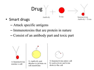 Drug Delivery
• Smart drugs
– Attack specific antigens
– Immunotoxins that are protein in nature
– Consist of an antibody part and toxic part
 