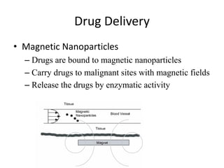 Drug Delivery
• Magnetic Nanoparticles
– Drugs are bound to magnetic nanoparticles
– Carry drugs to malignant sites with magnetic fields
– Release the drugs by enzymatic activity
 