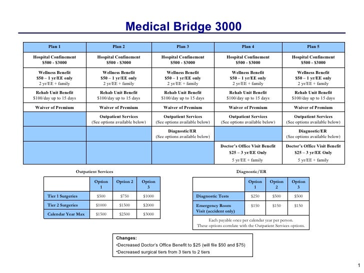 Medical Bridge3000 Two Pager