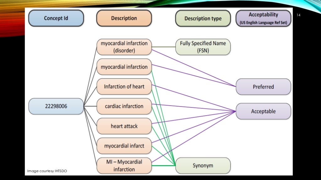 Medical classification coding vs clinical terminology coding