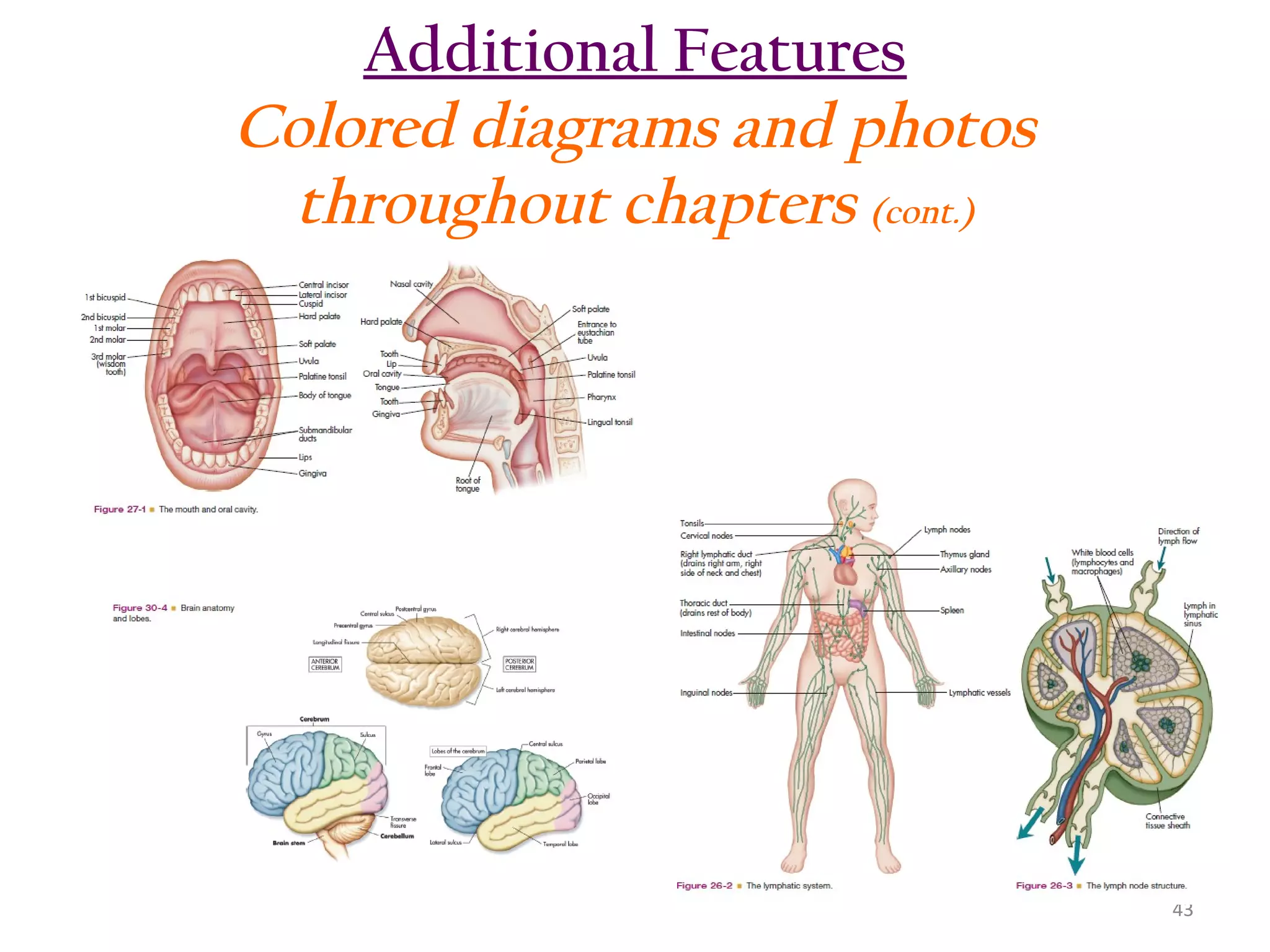 Additional Features
Colored diagrams and photos
throughout chapters (cont.)

43

 