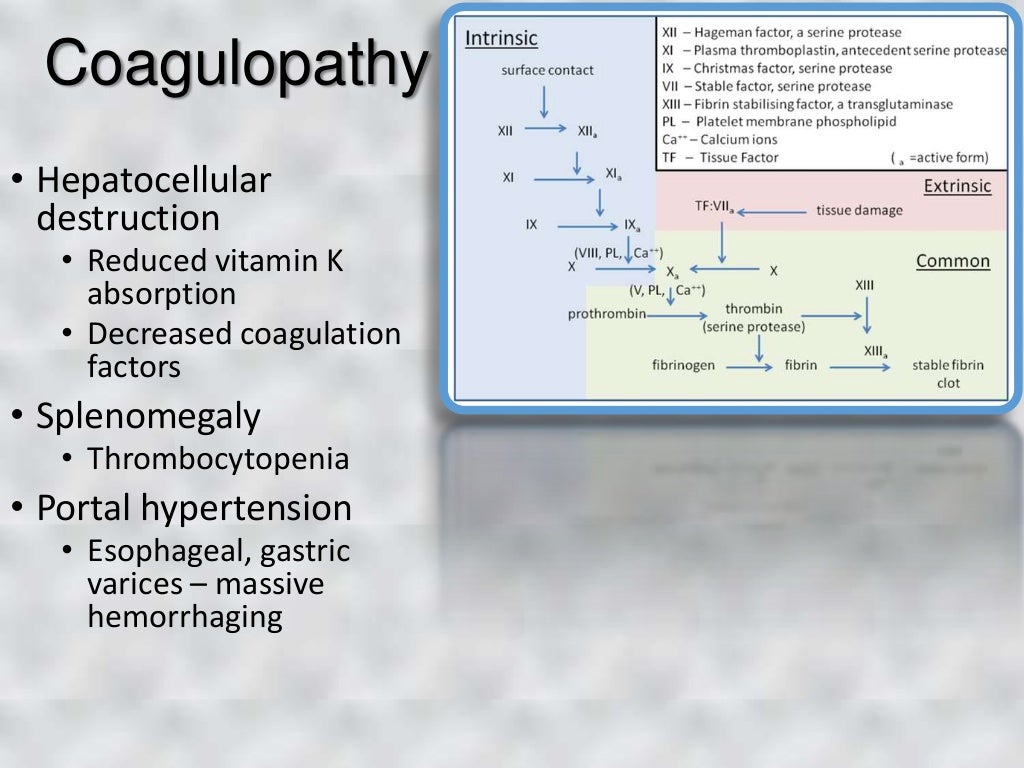 Dental Patients with Liver Disease
