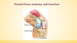 Normal Knee anatomy and function:
 