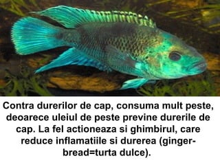 Contra durerilor de cap, consuma mult peste, deoarece uleiul de peste previne durerile de cap. La fel actioneaza si ghimbirul, care reduce inflamatiile si durerea (ginger-bread=turta dulce).  